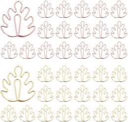 Nessuna immagine impostata 